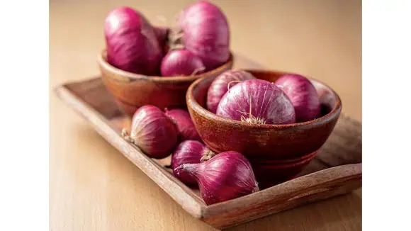 This vegetable was worshipped by the ancient Egyptians as a symbol of what? - Darkness, Faith, Eternal Life, Death