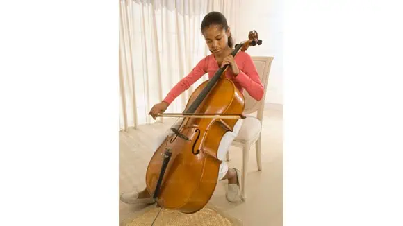 What musical instrument is shown in the visual? - Violin, Banjo, Cello, Harp